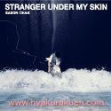 v^STRANGER UNDER MY SKIN@CD@`